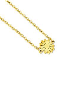 Joasia Gold
